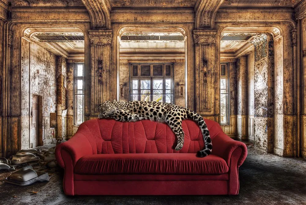 Previous Product Image